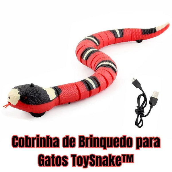 Cobrinha de Brinquedo para Gatos ToySnake™ - DescontosCentral