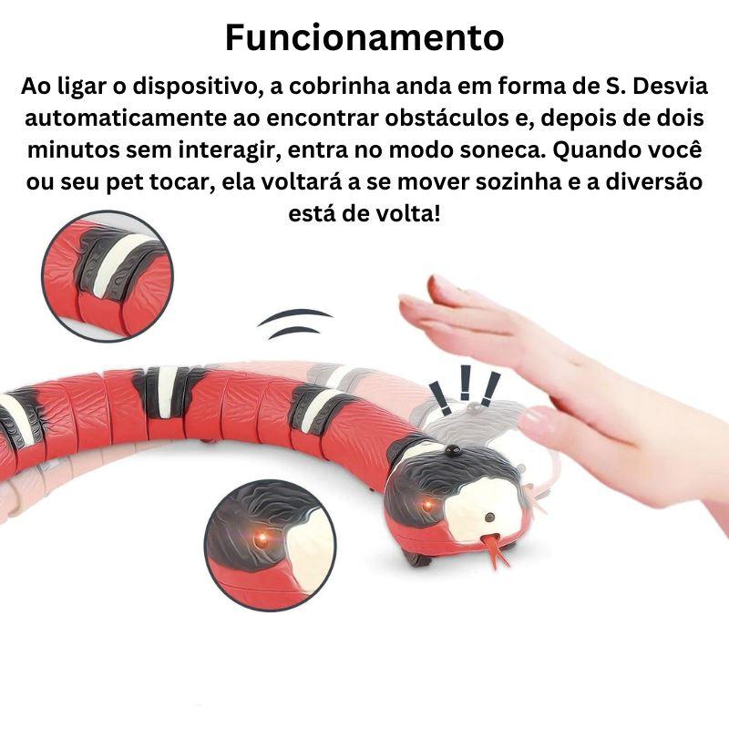 Cobrinha de Brinquedo para Gatos ToySnake™ - DescontosCentral