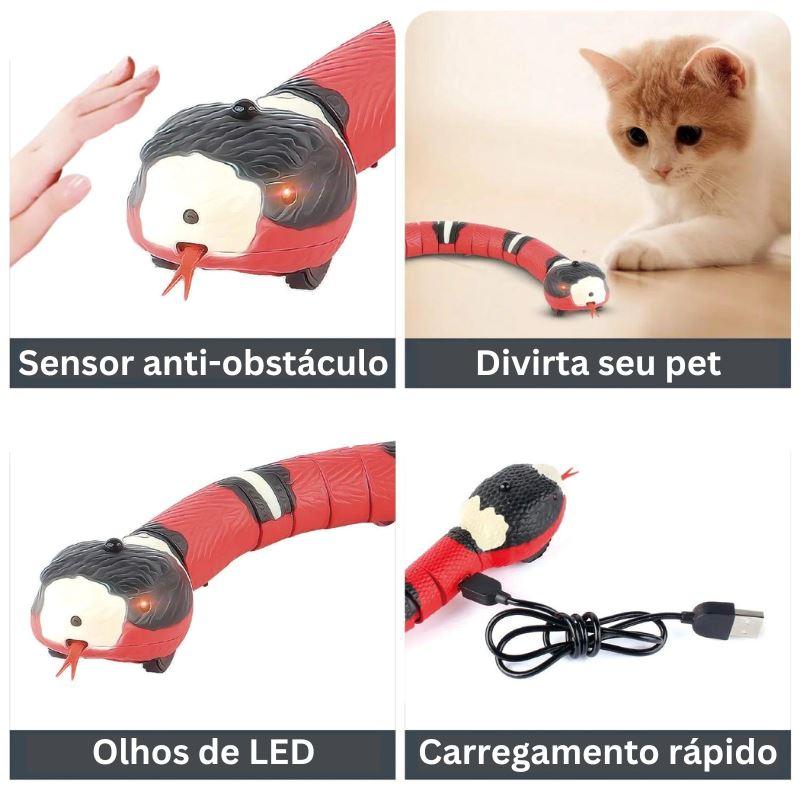 Cobrinha de Brinquedo para Gatos ToySnake™ - DescontosCentral